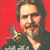 کتاب ای کاش آفتاب از چهار سو بتابد | انتشارات نیماژ