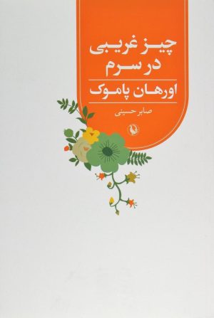 کتاب چیز غریبی در سرم | انتشارات مروارید