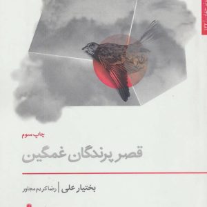 کتاب قصر پرندگان غمگین | انتشارات افراز