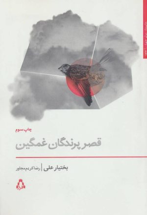 کتاب قصر پرندگان غمگین | انتشارات افراز