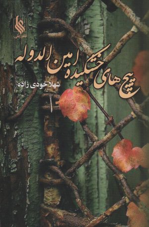 کتاب پیچ‌های خشکیده امین الدوله | انتشارات نشر علی