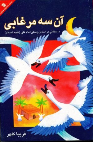 کتاب آن سه مرغابی | انتشارات سروش