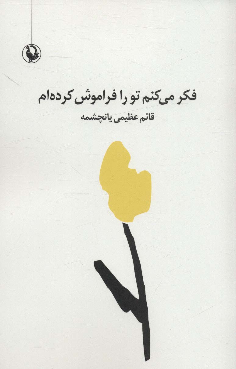 کتاب فکر می کنم تو را فراموش کرده ام | انتشارات مروارید