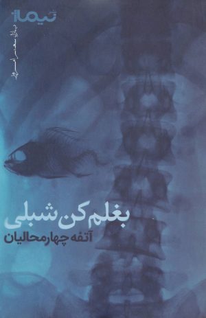 کتاب بغلم کن شبلی | انتشارات نیماژ