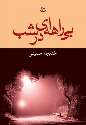 کتاب بی راهه ای در شب | انتشارات شادان