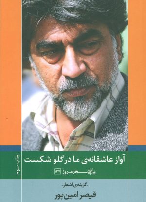 کتاب آواز عاشقانه ی ما در گلو شکست | انتشارات نیماژ