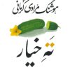 کتاب ته خیار | انتشارات معین