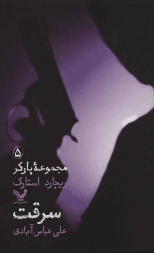 کتاب سرقت | انتشارات کتابسرای تندیس