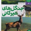 کتاب جنگل های هیرکانی | انتشارات فنی ایران نردبان