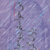 کتاب می خواستم ببوسم ات، باران گرفت | انتشارات نیستان