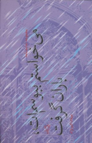 کتاب می خواستم ببوسم ات، باران گرفت | انتشارات نیستان