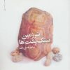 کتاب سرزمین سنگ پشت ها | انتشارات نیماژ