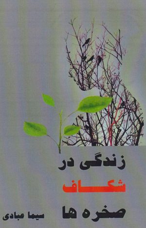 کتاب زندگی در شکاف صخره ها | انتشارات نقد فرهنگ