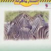 کتاب استتار ماهرانه | انتشارات مهاجر