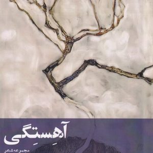 کتاب آهستگی | انتشارات افراز