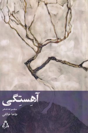 کتاب آهستگی | انتشارات افراز