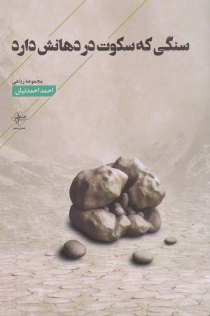 کتاب سنگی که سکوت در دهانش دارد | انتشارات فصل پنجم