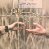 کتاب فرزند پیله | انتشارات سخن