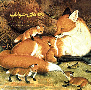 کتاب بچه های حیوانات | انتشارات کانون پرورش فکری کودکان و نوجوانان