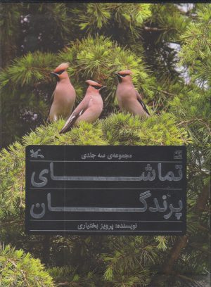 کتاب تماشای پرندگان | انتشارات کانون پرورش فکری کودکان و نوجوانان