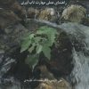 کتاب چگونه تاب آور شویم | انتشارات دانژه