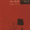 کتاب شبی بیرون از خانه | انتشارات نیلا