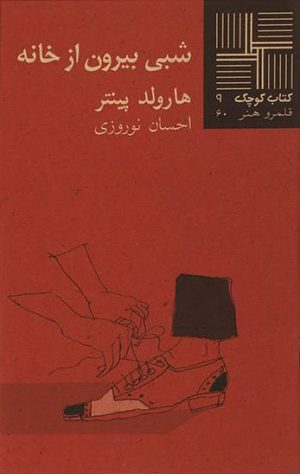 کتاب شبی بیرون از خانه | انتشارات نیلا