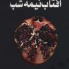 کتاب آفتاب نیمه شب | انتشارات سایه گستر