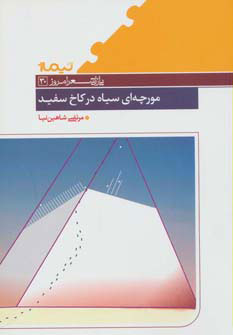 کتاب مورچه ای سیاه در کاخ سفید | انتشارات نیماژ