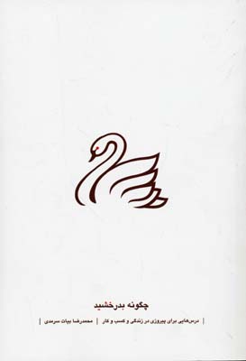 کتاب چگونه بدرخشید | انتشارات نسل نواندیش