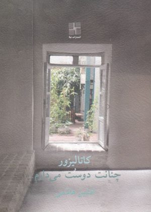کتاب کاتالیزور و چنانت دوست می دارم... | انتشارات نیلا