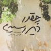کتاب چقدر دیر رسیدم | انتشارات قو