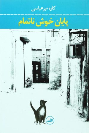 کتاب پایان خوش ناتمام | انتشارات نشر ثالث