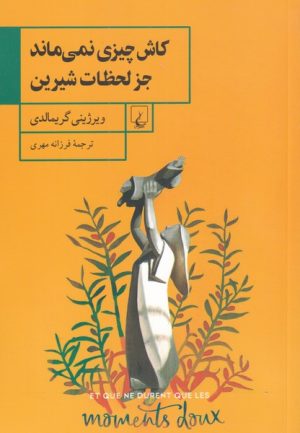 کتاب کاش چیزی نمی ماند جز لحظات شیرین | انتشارات ققنوس