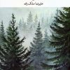 کتاب هنگامه رنج در صنوبر | انتشارات نگاه