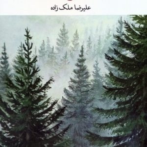 کتاب هنگامه رنج در صنوبر | انتشارات نگاه