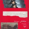 کتاب درخشش | انتشارات نشر چشمه