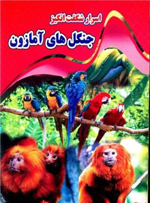 کتاب اسرار شگفت انگیز جنگل های آمازون | انتشارات 360 درجه