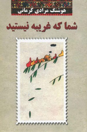 کتاب شما که غریبه نیستید | انتشارات معین