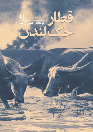 کتاب قطار جک لندن | انتشارات افق