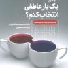 کتاب چطور یک یار عاطفی انتخاب کنم؟ | انتشارات دانژه