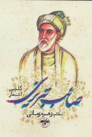 کتاب گلچین اشعار صائب تبریزی | انتشارات آناپنا