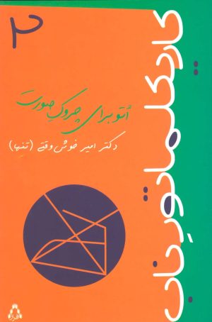 کتاب کاریکلماتور ناب 2 | انتشارات افراز