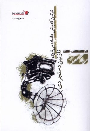 کتاب نازنین که باشی دلداده می شوی | انتشارات سیب سرخ