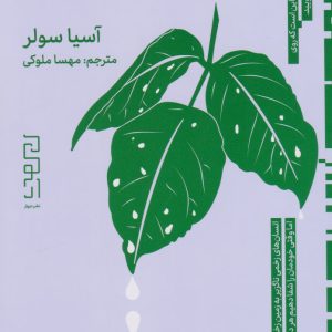 کتاب آینه های درون زمین | انتشارات نشر چشمه