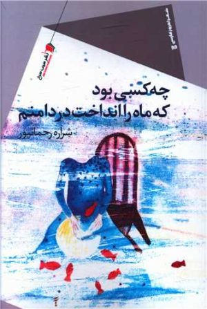 کتاب چه کسی بود که ماه را انداخت در دامنم | انتشارات سیب سرخ