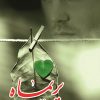 کتاب پریماه | انتشارات شقایق