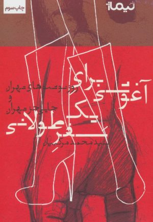 کتاب آغوشی برای یک سفر طولانی | انتشارات نیماژ