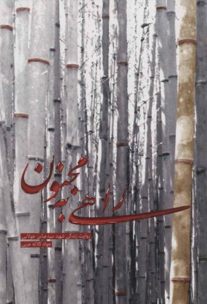 کتاب راهی به مجنون | انتشارات شهید کاظمی