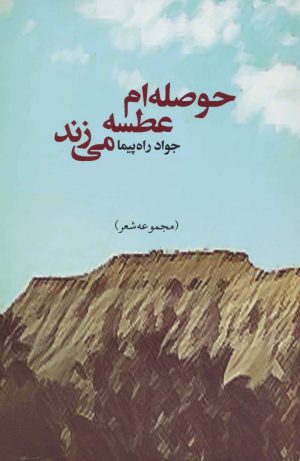 کتاب حوصله ام عطسه می زند | انتشارات جامی مصدق